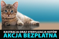 200koty