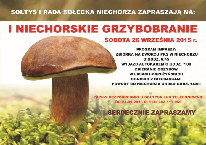 plakat grzybobranie