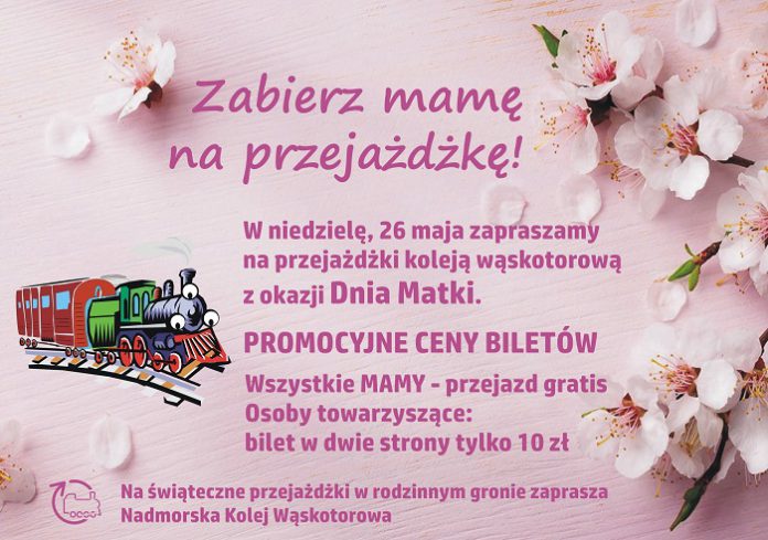 dzienmatki